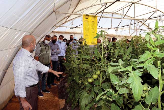 الزراعة في قطر.. طريقة جديدة تجمع أساليب زراعية متعددة