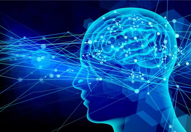 دراسة: كيف ينظم الدماغ الذكريات؟
