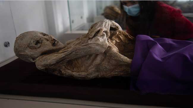 مومياوات سان برناردو الطبيعية: لغز محيّر حول جثث عمرها 100 عام ظلت محفوظة بشكل جيد!